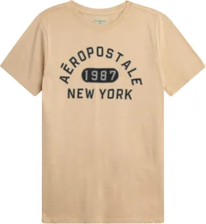 AEROPOSTALE Boys' Graphic T-Shirt - Short Sleeve Kids Crewneck Pullover Tees - Casual Graphic T-Shirts for Boys (Sizes: 8-16)
