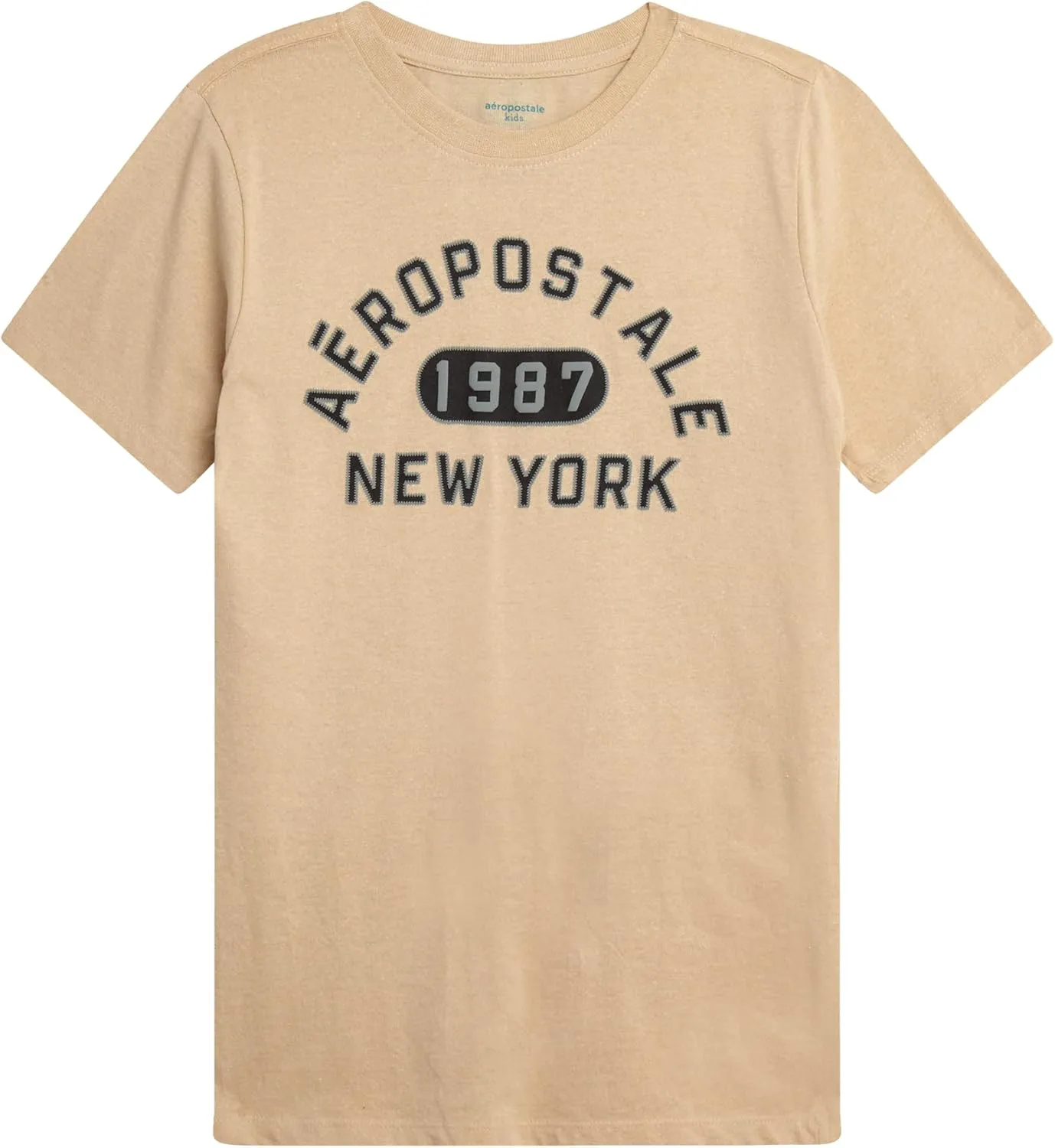 AEROPOSTALE Boys' Graphic T-Shirt - Short Sleeve Kids Crewneck Pullover Tees - Casual Graphic T-Shirts for Boys (Sizes: 8-16)